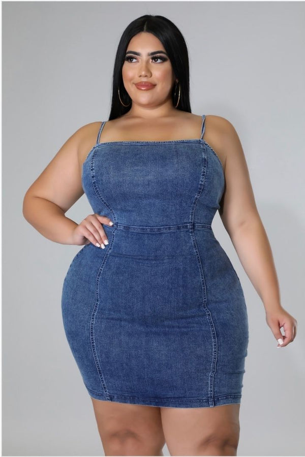 Denim Girl Dress